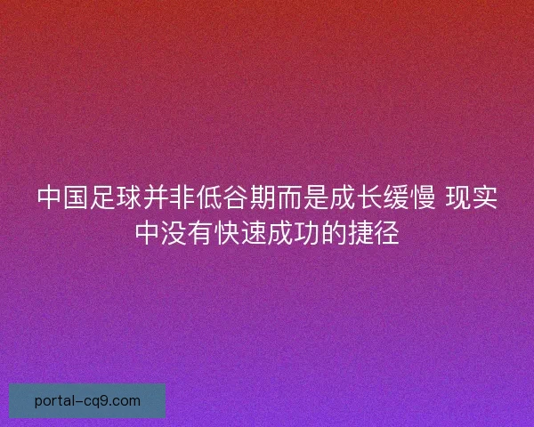 中国足球并非低谷期而是成长缓慢 现实中没有快速成功的捷径